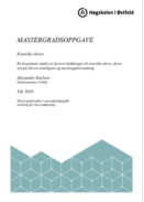 Skjermbilde master 2